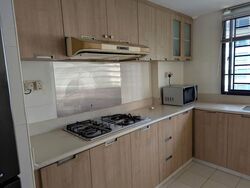 Central Green Condominium (D3), Condominium #606686641